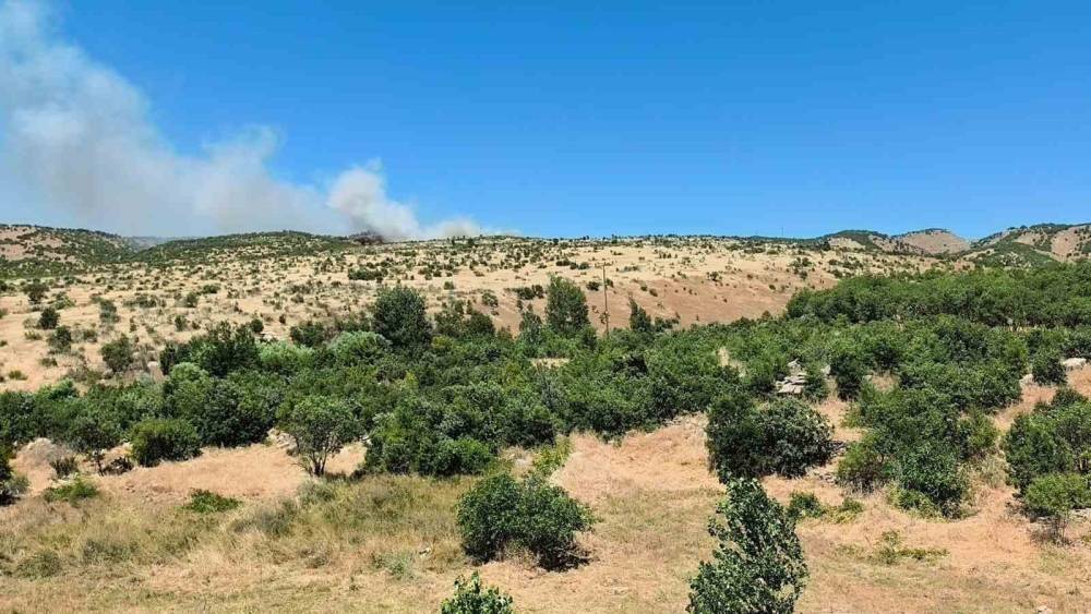 Dicle&rsquo;de ağa&ccedil;lık alanda yangın
