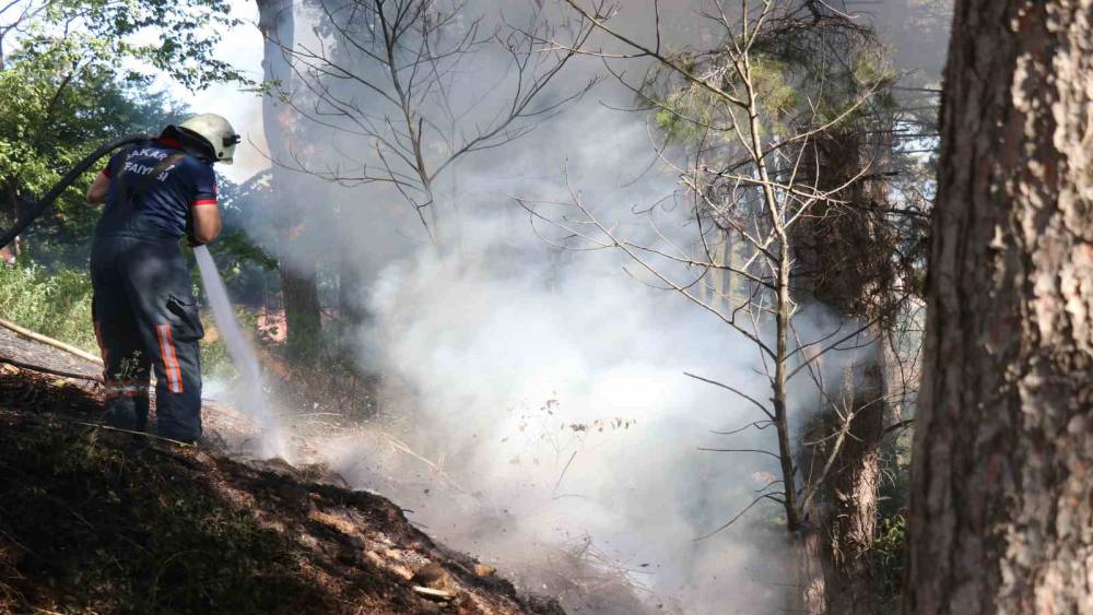 Sakarya&rsquo;da ağa&ccedil;lık alanda korkutan yangın
