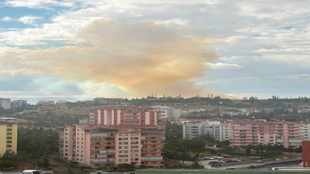 Ankara&rsquo;da otluk alanda yangın &ccedil;ıktı
