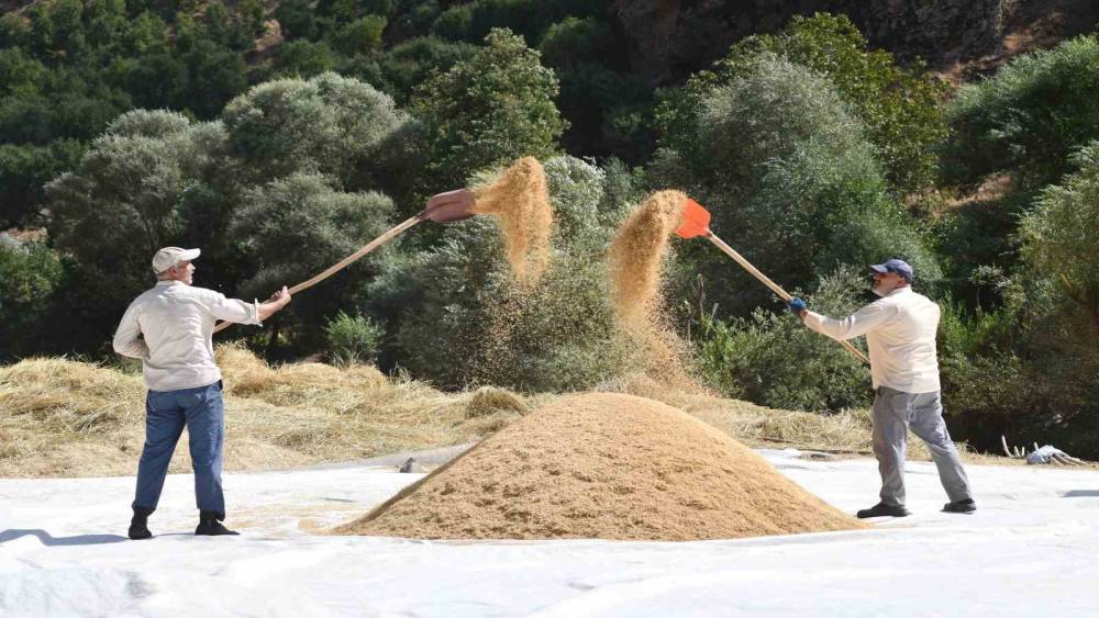 Bitlis&rsquo;te geleneksel &ccedil;eltik hasadı: Y&uuml;zyıllık gelenek yaşatılıyor
