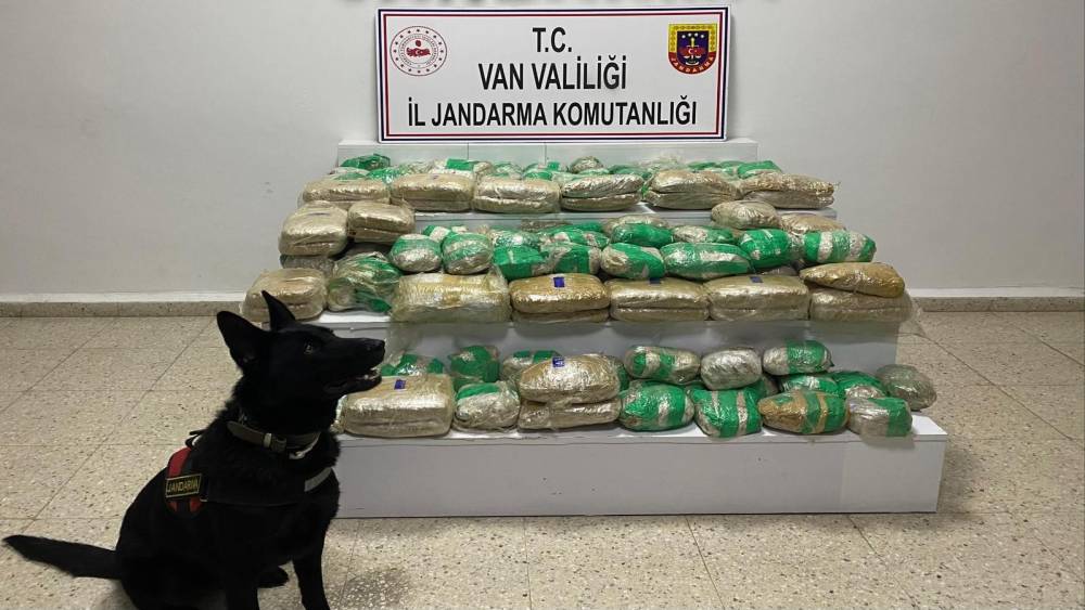 Van&rsquo;da 51 kilo skunk ele ge&ccedil;irildi
