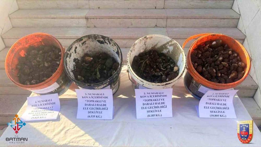 Sason&rsquo;da endemik bitki operasyonu: 4 kişiye 2 milyon 8 bin lira ceza
