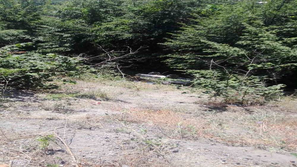 Ormanlık alana u&ccedil;an otomobildeki 3 kişi yaralandı
