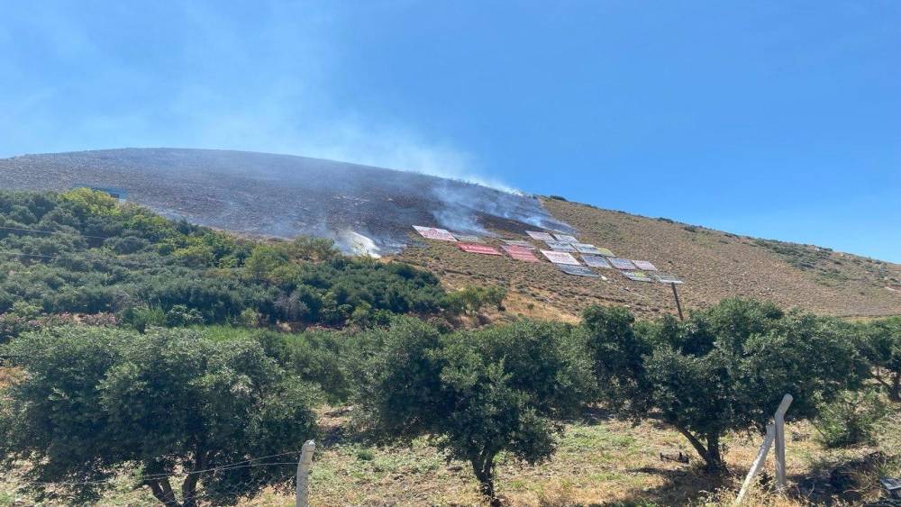 Hatay&rsquo;da &ccedil;ıkan orman yangını b&uuml;y&uuml;meden s&ouml;nd&uuml;r&uuml;ld&uuml;

