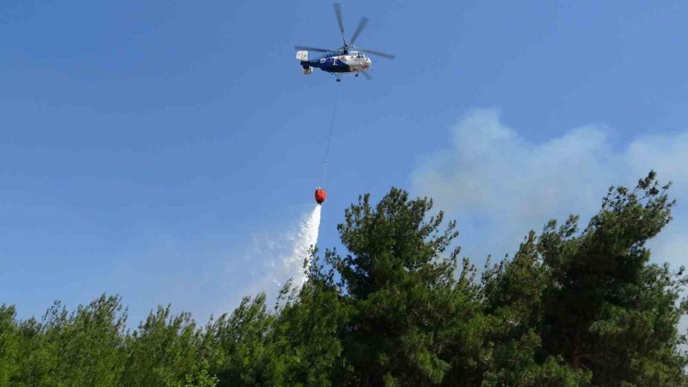 &Ccedil;anakkale&rsquo;de tarım arazisinde &ccedil;ıkan yangın kontrol altına alındı
