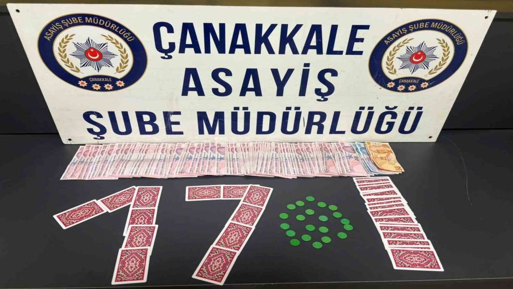 &Ccedil;anakkale&rsquo;de &ccedil;eşitli su&ccedil;lardan aranan 20 ş&uuml;pheli yakalandı
