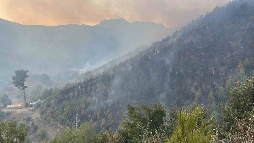 Alanya&rsquo;daki yangına 95 ara&ccedil; ve 320 personelle m&uuml;dehale ediliyor
