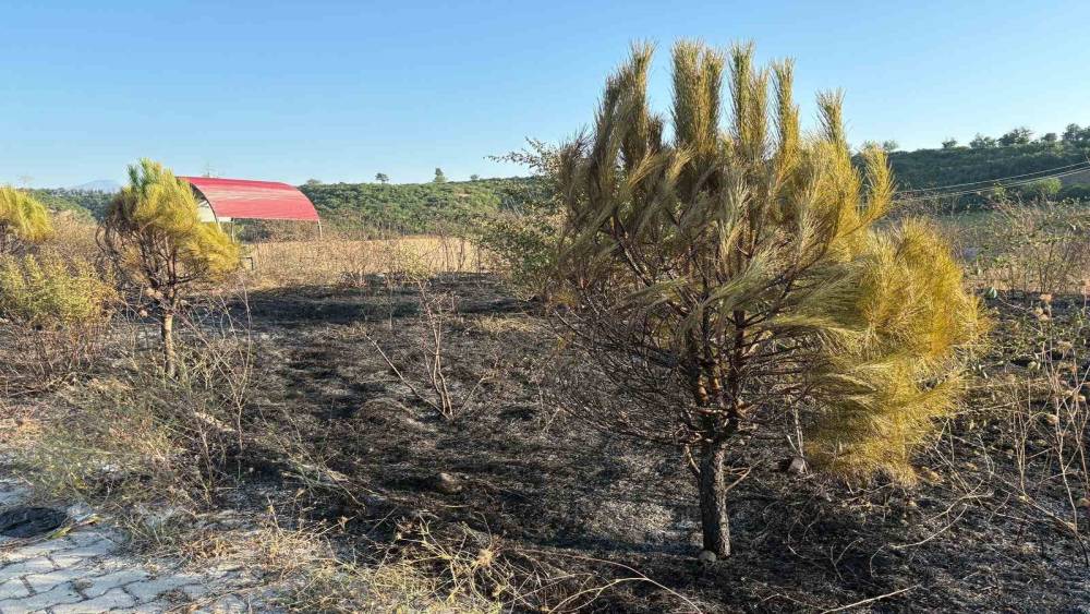 Osmaniye&rsquo;de mesire alanından &ccedil;ıkan yangın s&ouml;nd&uuml;r&uuml;ld&uuml;
