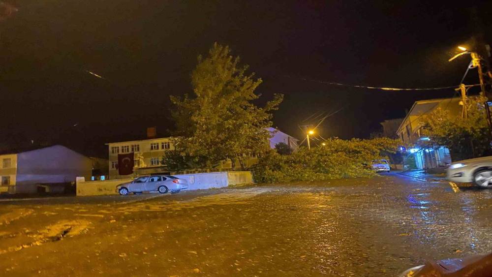 Rüzgarın kökünden söktüğü ağaç otomobilin üzerine devrildi
