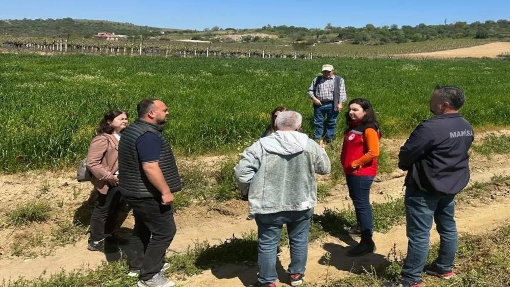 Sarıg&ouml;l&rsquo;de incir hamlesi
