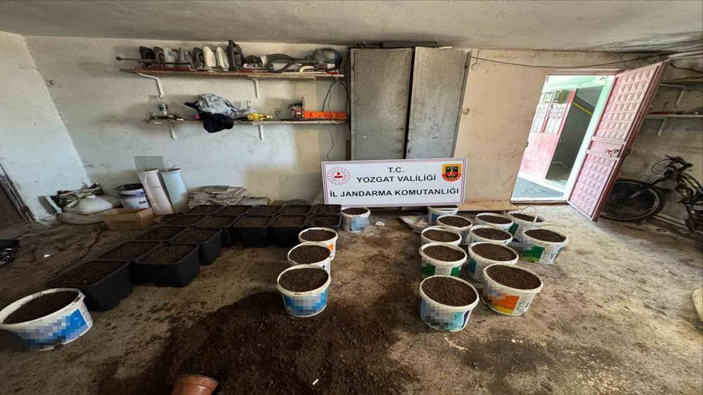 Yozgat&rsquo;ta uyuşturucu yetiştirme d&uuml;zeneği ve uyuşturucu madde ele ge&ccedil;irildi
