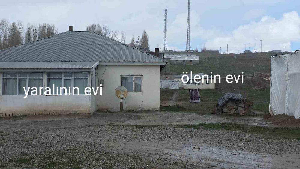 K&ouml;pek dehşetinin g&ouml;r&uuml;nt&uuml;leri ortaya &ccedil;ıktı
