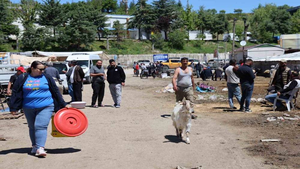 Elazığ hayvan pazarında hareketlilik s&uuml;r&uuml;yor
