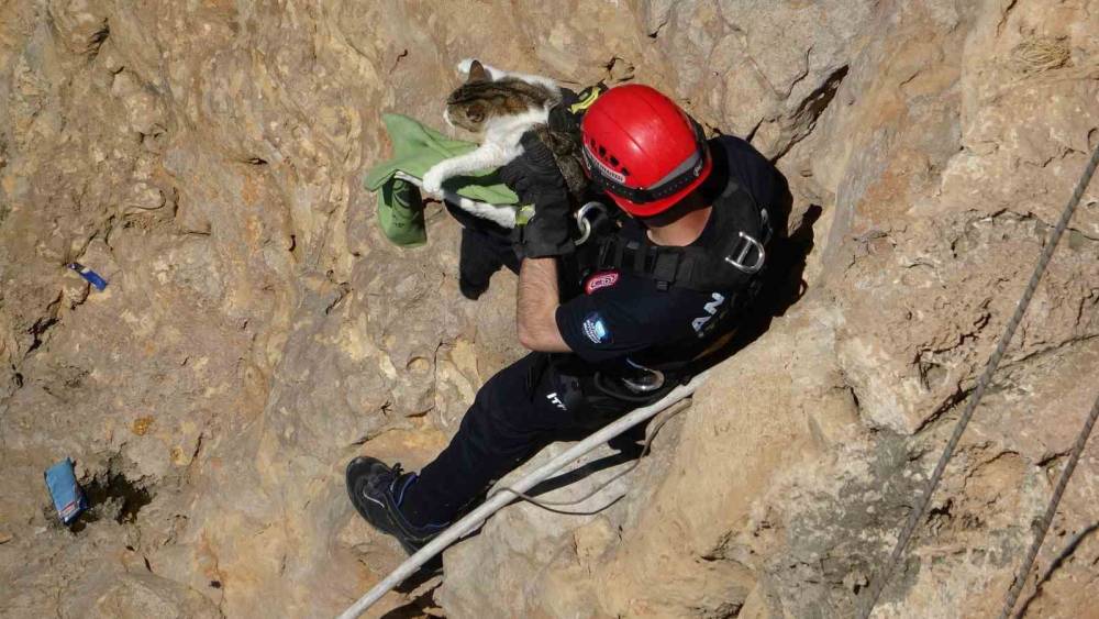 Falezlerde mahsur kalan kedi, itfaiyenin 1 saatlik &ccedil;alışmasıyla kurtarıldı
