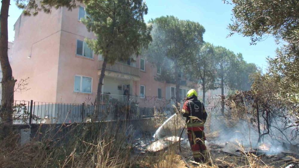 Burhaniye&rsquo;de zeytinliğe sı&ccedil;rayan ot yangını polis merkezinde korkuya neden oldu
