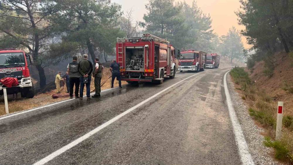 Balıkesir&rsquo;deki yangın sebebiyle Ayvalık Bergama yolu trafiğe kapatıldı
