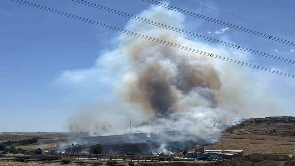 Tekirdağ&rsquo;da korkutan yangın: 500 d&ouml;n&uuml;m anız alev alev yandı
