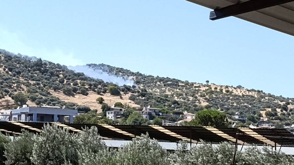 Bozdoğan&rsquo;daki zirai alan yangını kontrol altına alındı
