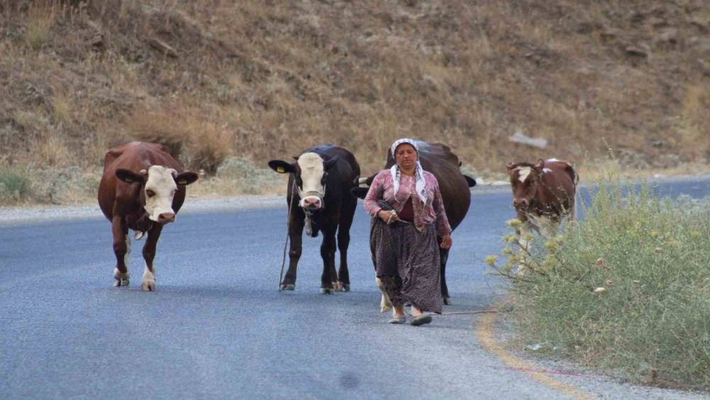 Alevlerden ka&ccedil;tılar, hayvanlarını ve kendi canlarını zor kurtardılar
