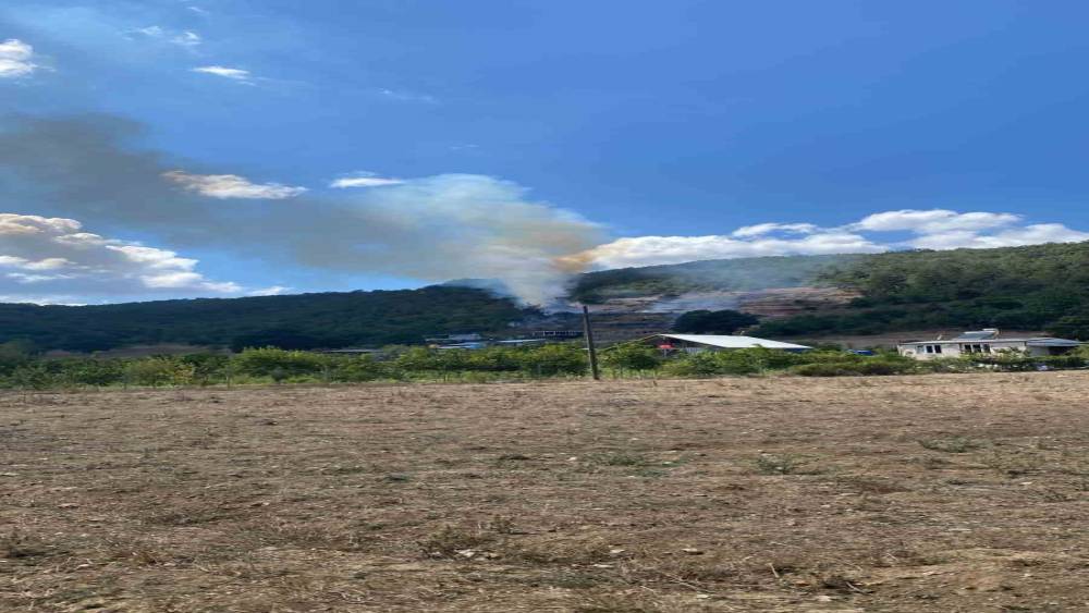 Kestel&rsquo;de tarım arazisinde başlayan yangın ormana sı&ccedil;radı
