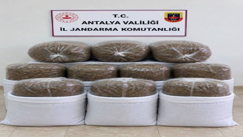 Antalya&rsquo;da &uuml;&ccedil; il&ccedil;ede ka&ccedil;ak t&uuml;t&uuml;n operasyonu: 400 kilogram t&uuml;t&uuml;n ele ge&ccedil;irildi
