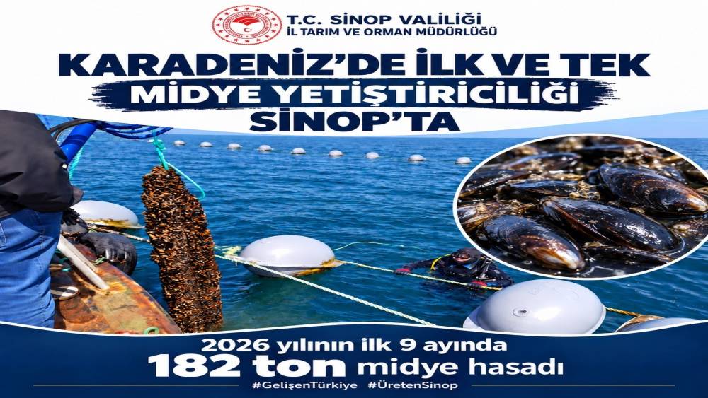 Sinop&rsquo;ta 9 ayda 182 ton midye hasadı
