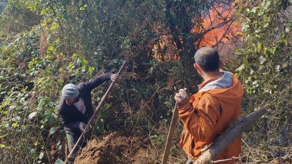 Artvin Hopa’da 5 hektarlık alanı küle çeviren yangınla mücadele sürüyor
