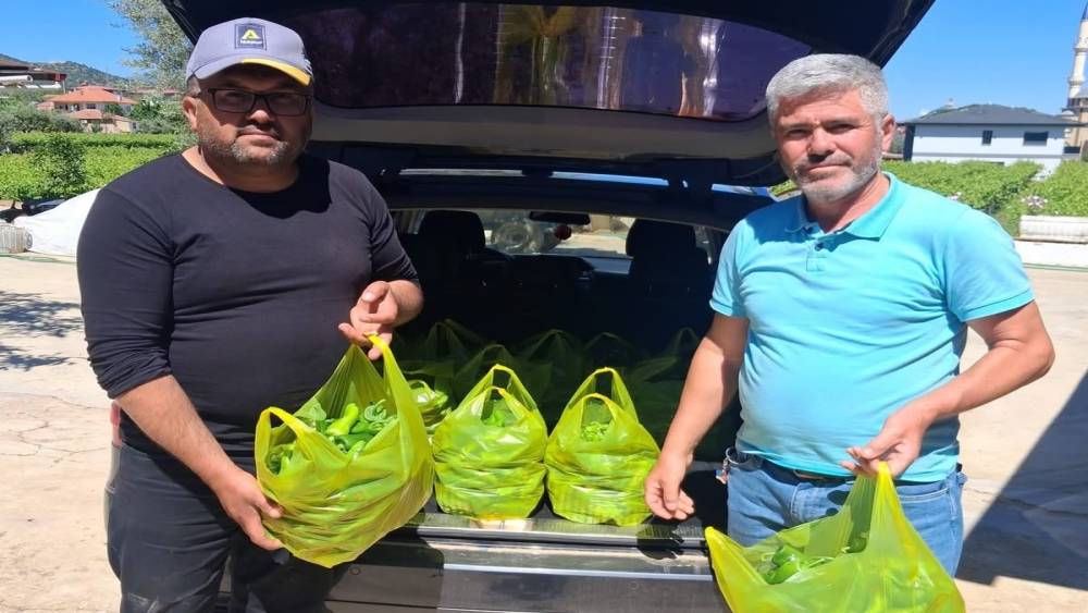 Sarıg&ouml;l&rsquo;&uuml;n meşhur Emcelli biberi gurbet&ccedil;ilerin g&ouml;zdesi oldu
