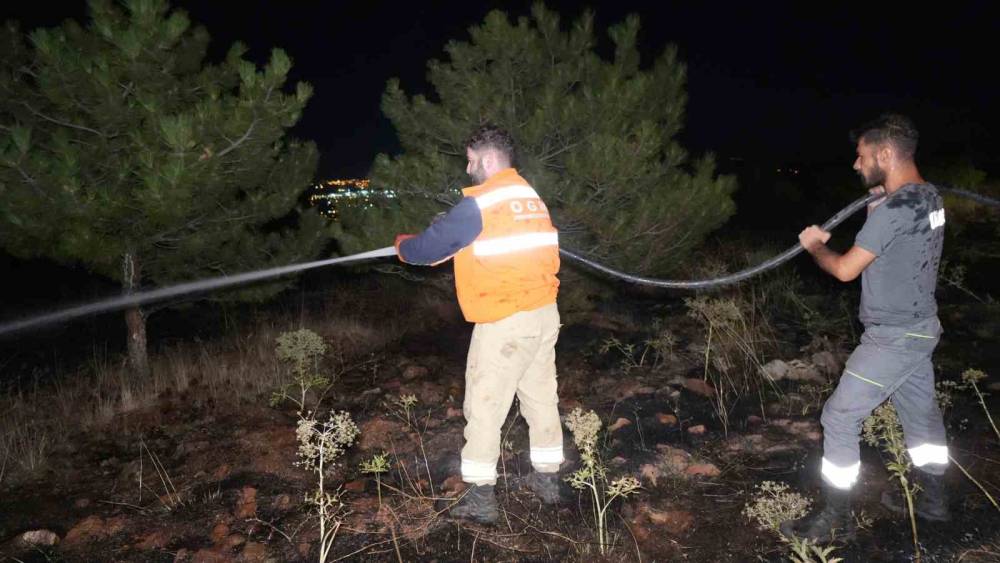 Bir kuş &ccedil;am ormanlarını alevlerin eşiğine getirdi: Yangın b&uuml;y&uuml;meden s&ouml;nd&uuml;r&uuml;ld&uuml;
