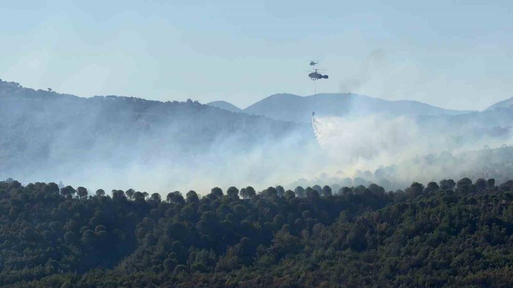 Balıkesir G&ouml;me&ccedil; yangını 3. g&uuml;n&uuml;nde.
