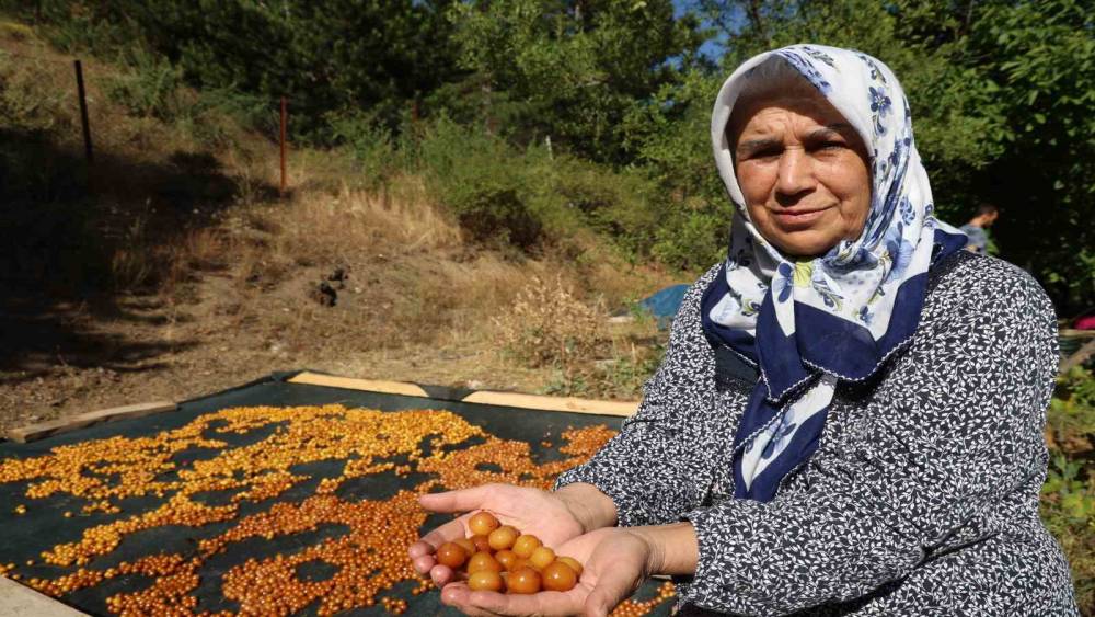 Satılamayan kirazlar kurutularak kışlık &ccedil;ereze d&ouml;n&uuml;şt&uuml;r&uuml;l&uuml;yor
