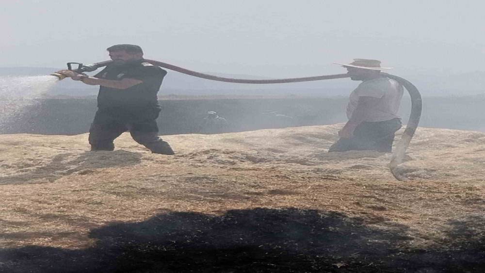 Bing&ouml;l&rsquo;de arazi yangını: 2 bin d&ouml;n&uuml;m arazi zarar g&ouml;rd&uuml;
