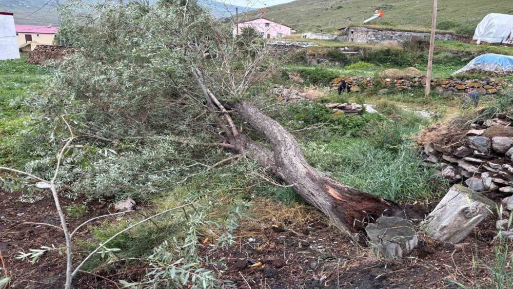 Ardahan&rsquo;da şiddetli fırtına ağa&ccedil;ları k&ouml;k&uuml;nden s&ouml;kt&uuml;
