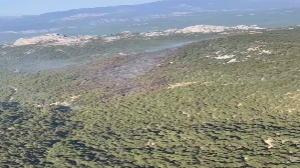 Manavgat&rsquo;taki orman yangını kontrol altına alındı
