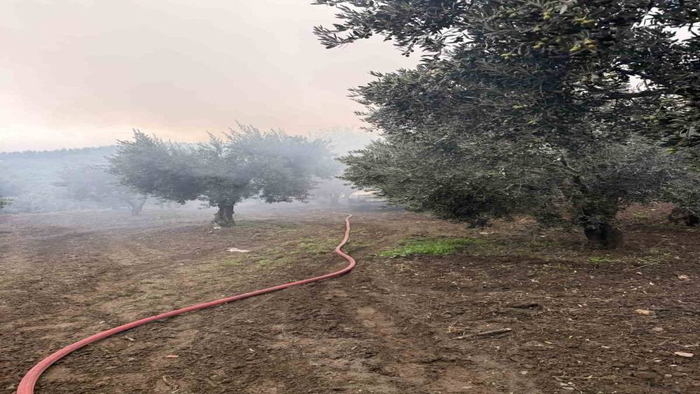 Erdek&rsquo;te zeytinlik i&ccedil;erisindeki m&uuml;stakil evde yangın &ccedil;ıktı
