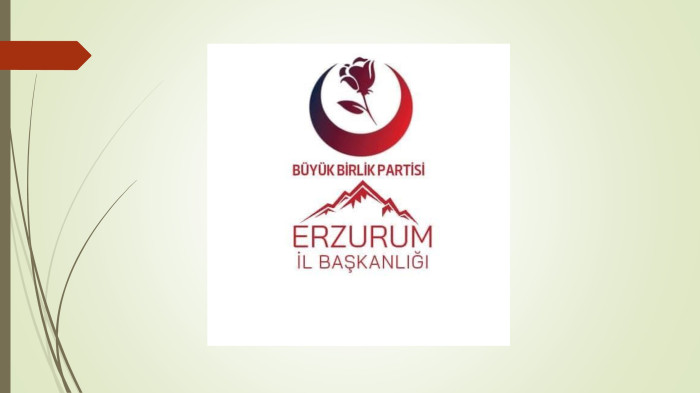 BBP' nin '' Erzurum için pozitif ayrımcılık projesi''
